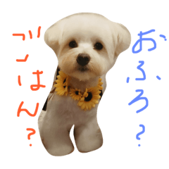 [LINEスタンプ] お犬さま2