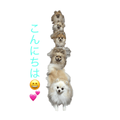[LINEスタンプ] ポメポメファミリー