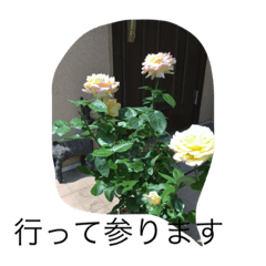 [LINEスタンプ] シユウの楽しい日常