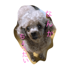 [LINEスタンプ] 気まぐれジルさん