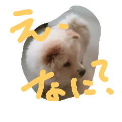 [LINEスタンプ] ちゃうちゃうかい！
