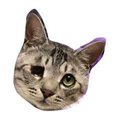 [LINEスタンプ] ごましおくん