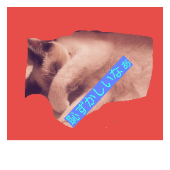 [LINEスタンプ] 猫＆犬