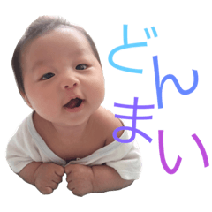 [LINEスタンプ] 海ちゃんの云々。 