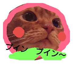 [LINEスタンプ] アビシニアンのハナちゃん