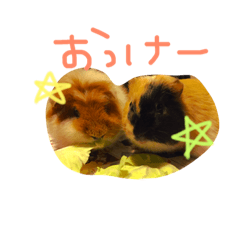 [LINEスタンプ] YUTO＆KOMUGI
