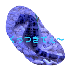 [LINEスタンプ] 生き物です！ 