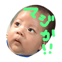 [LINEスタンプ] そーたんたん 