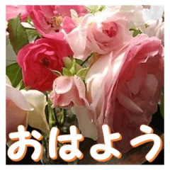 [LINEスタンプ] 薔薇の花♡アソート_挨拶メッセージの画像（メイン）