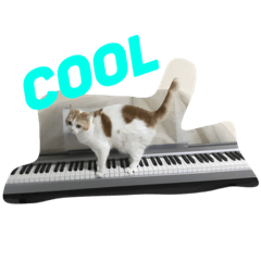 [LINEスタンプ] ピアノと猫