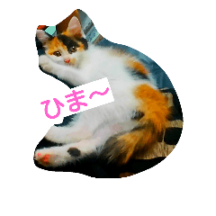 [LINEスタンプ] 錆猫と三毛猫
