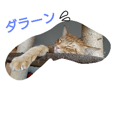 [LINEスタンプ] 佐助と華 