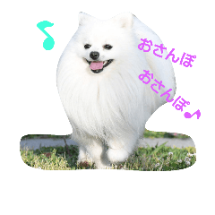 [LINEスタンプ] ライチのスタンプ 