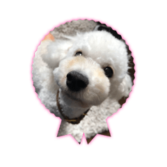 [LINEスタンプ] ルアナすてっかー