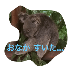 [LINEスタンプ] オージーアニマル
