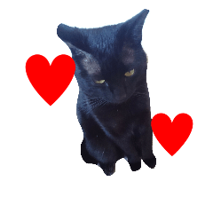 [LINEスタンプ] カワ猫♡