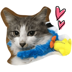 [LINEスタンプ] ねこたち☺︎