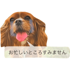 [LINEスタンプ] 仕事に使える吹き出し集ー犬猫ー