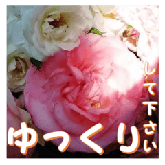 [LINEスタンプ] 薔薇の花♡アソート2_挨拶メッセージの画像（メイン）