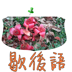 [LINEスタンプ] beautiful pictures:wise phrase