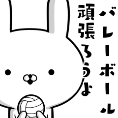 [LINEスタンプ] バレーボール好きの為のスタンプの画像（メイン）