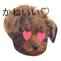 [LINEスタンプ] わんちゃんず。