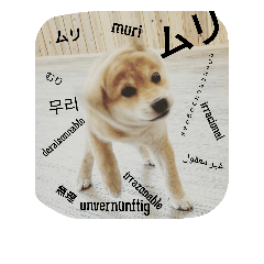 [LINEスタンプ] ドッグリフレオッジ 2