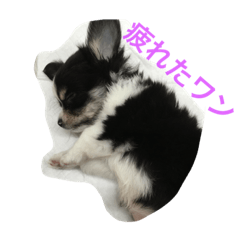 [LINEスタンプ] ルクわんこ 