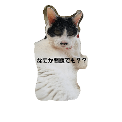 [LINEスタンプ] ココナッツ生活 