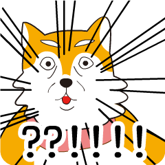 [LINEスタンプ] 顔の表情で語る柴犬