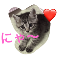 [LINEスタンプ] プリムローズのうにちゃん