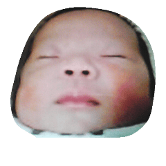 [LINEスタンプ] はやたんたん