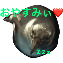 [LINEスタンプ] ミクちゃんの為のペンギンスタンプ