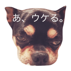 [LINEスタンプ] 大御所様