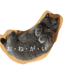 [LINEスタンプ] ゆず1