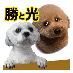 [LINEスタンプ] 勝と光