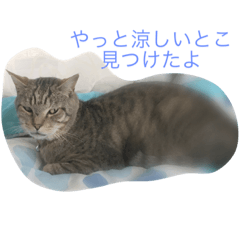[LINEスタンプ] だいきちのすたんぷ