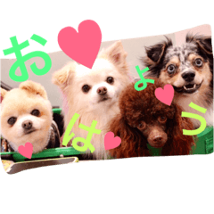 [LINEスタンプ] なかよし家族♡