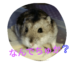 [LINEスタンプ] まんまる  なるちゃん