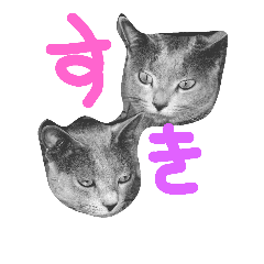 [LINEスタンプ] ペットのルーナちゃん