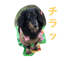 [LINEスタンプ] 空さん