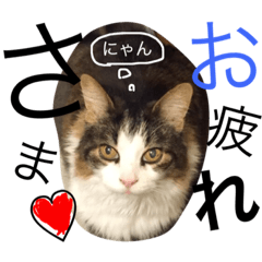 [LINEスタンプ] ダイアナちゃん♡
